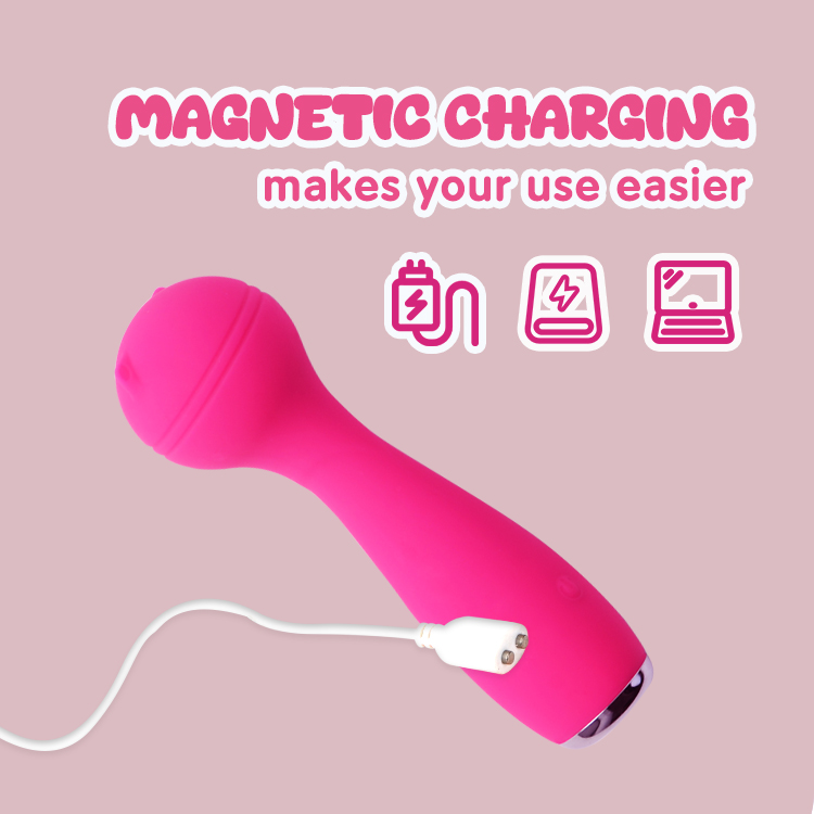 Magnetic Charging